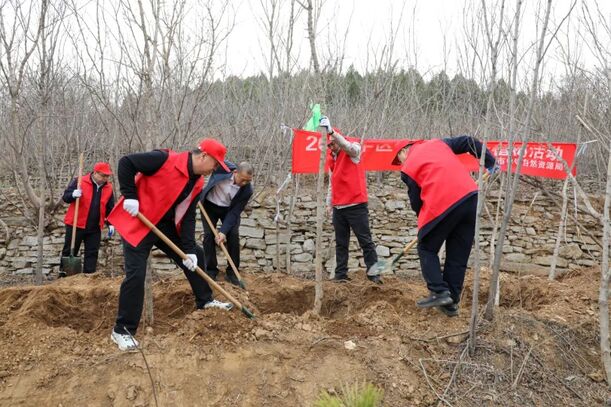 4049a78654ea4739a1c63f137502e148