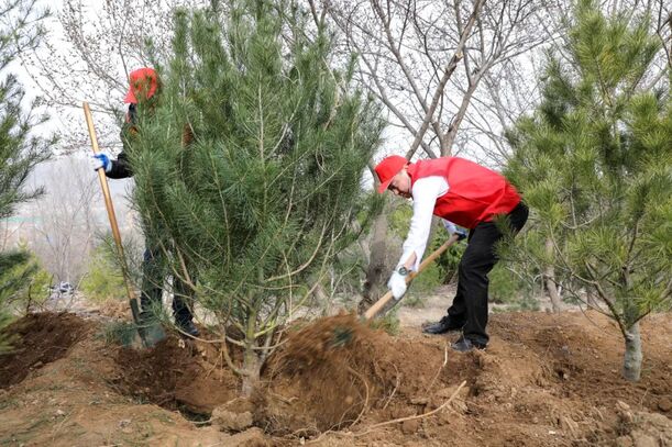 60670da521a24bb087c60b19735d8f4e